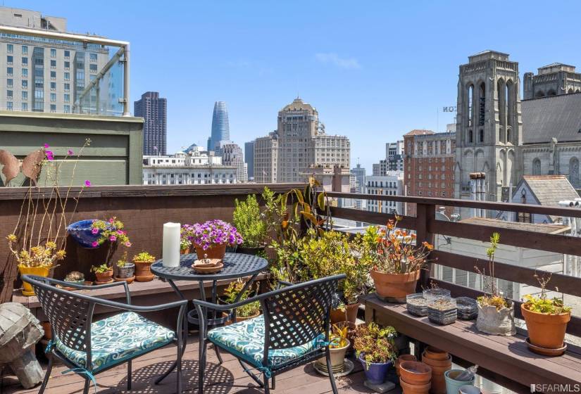 77-81 Pleasant - Shared View Roof Deck