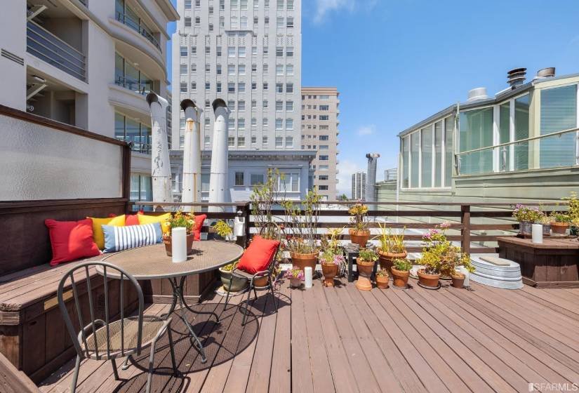 77-81 Pleasant - Shared View Roof Deck