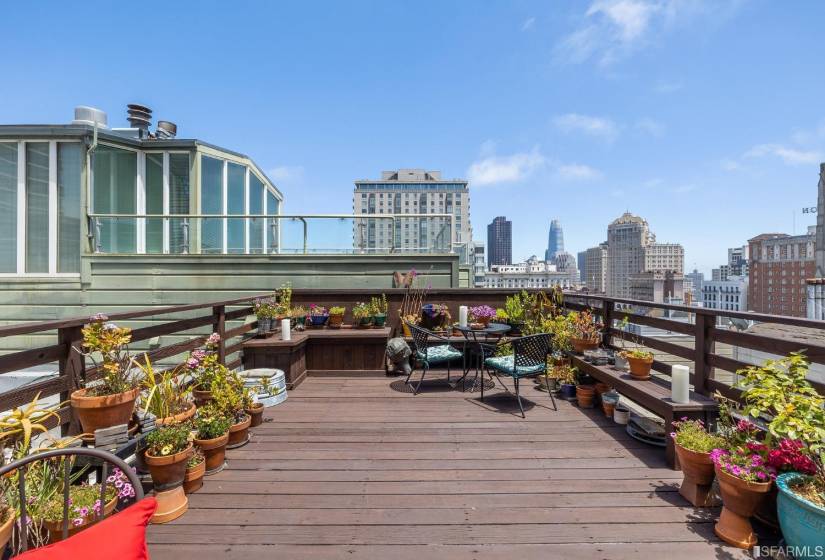 77-81 Pleasant - Shared View Roof Deck