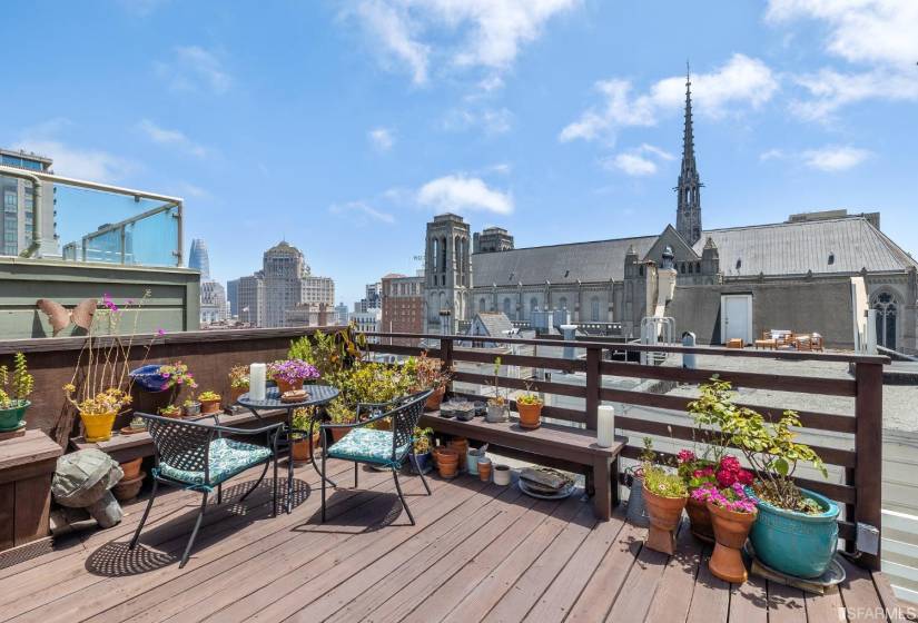 77-81 Pleasant - Shared View Roof Deck